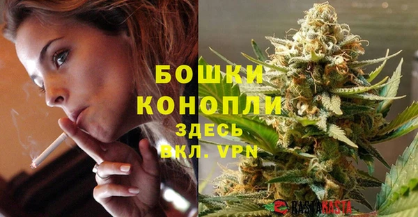 дурь Алзамай